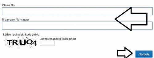 araç vize sorgulama e-sorgulama.com