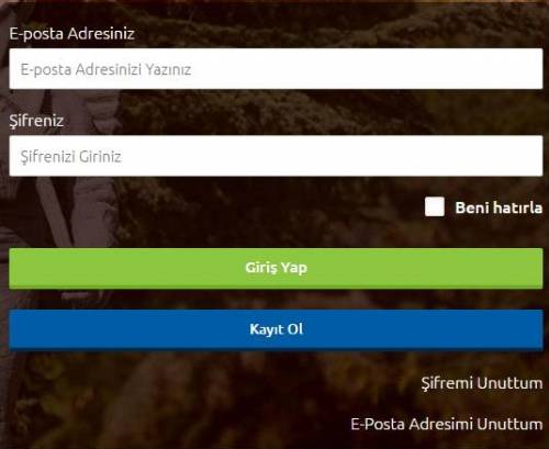 yökdil sonuçları e-sorgulama.com